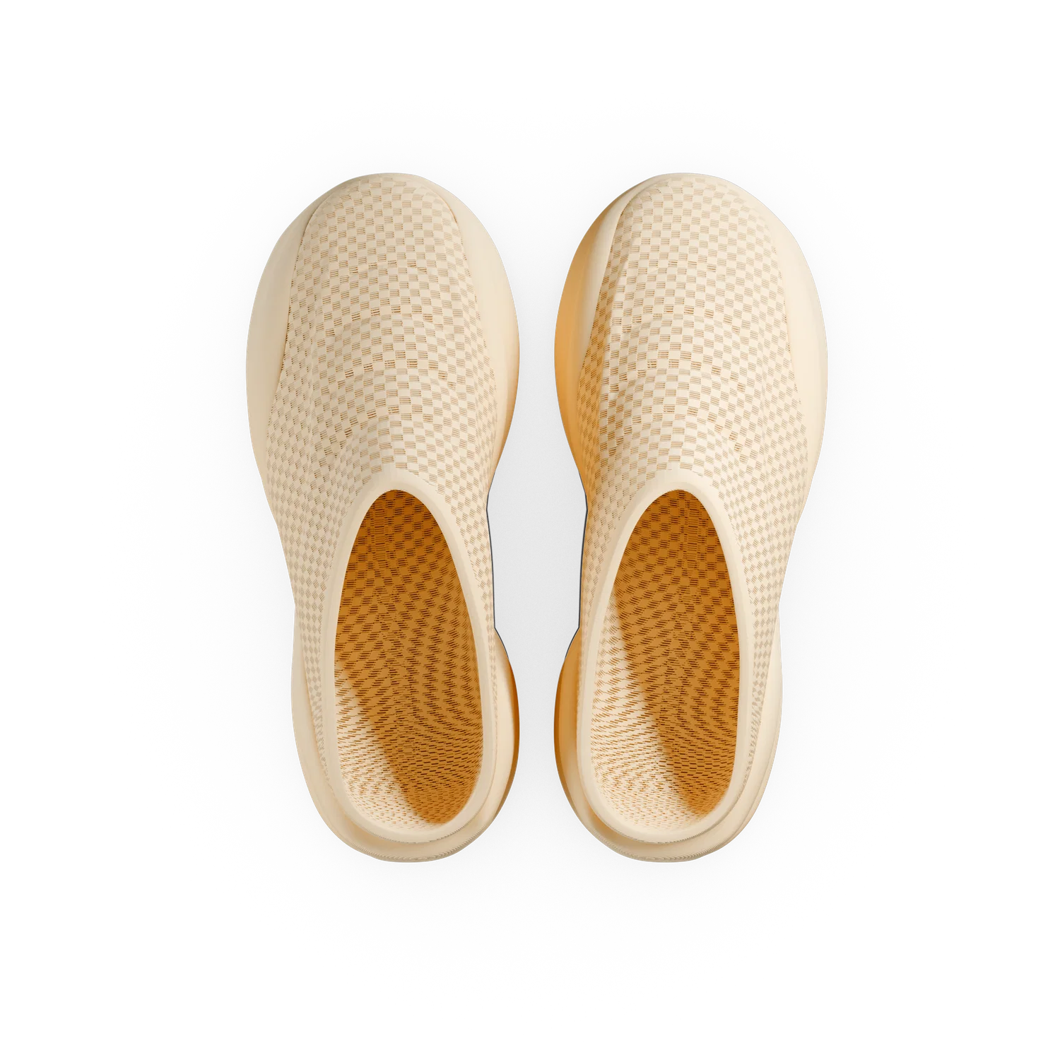 GX Mule - Image 39