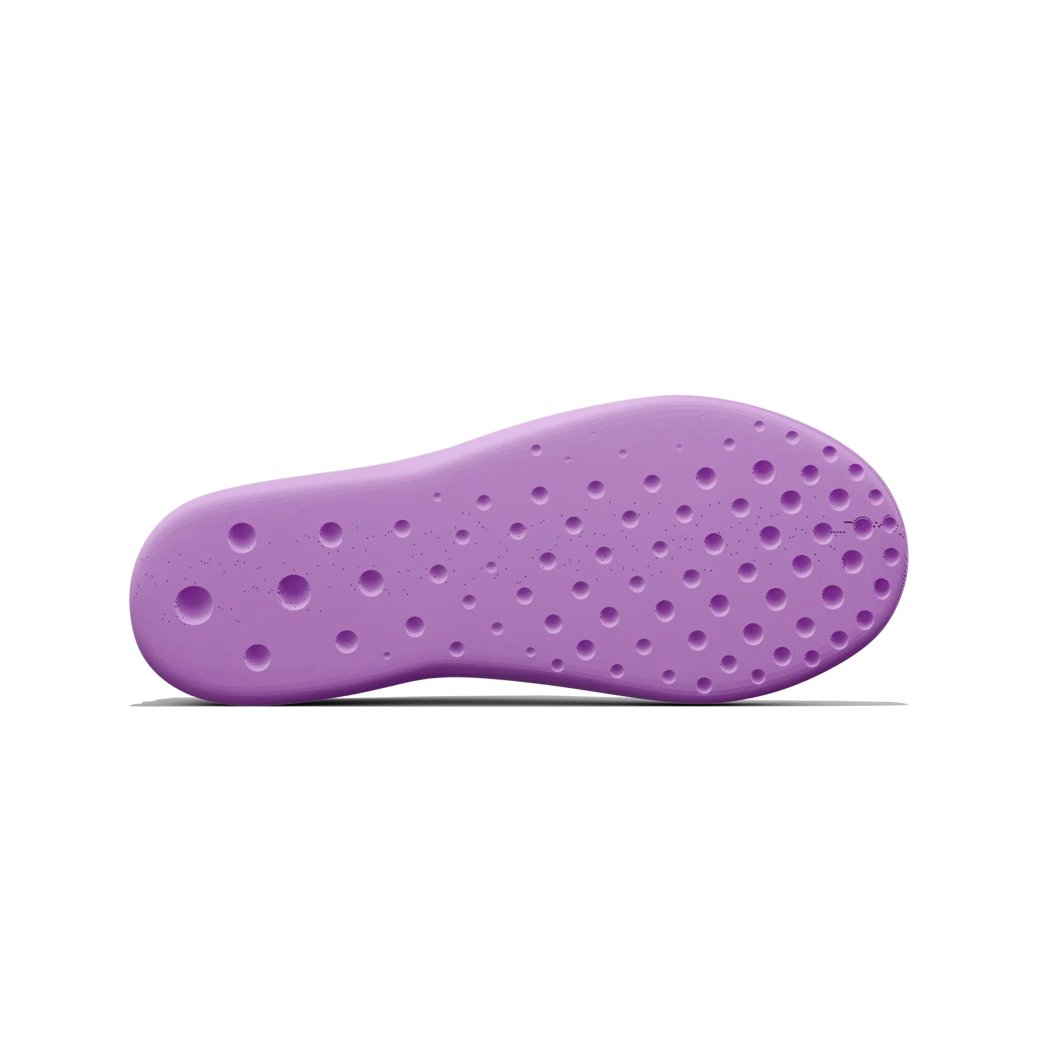 Paca - Image 10