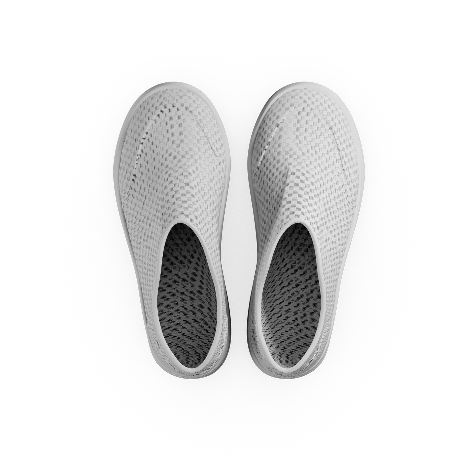 Paca - Image 15