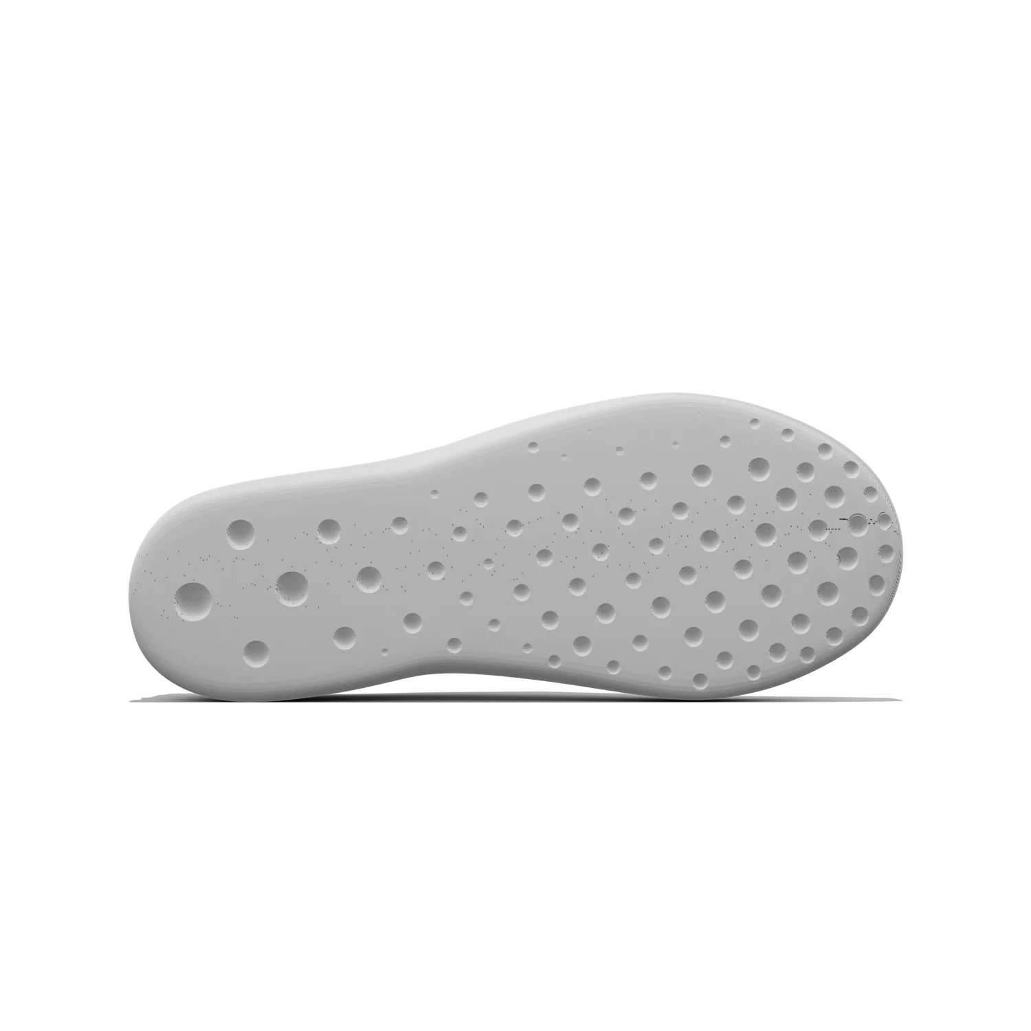 Paca - Image 16