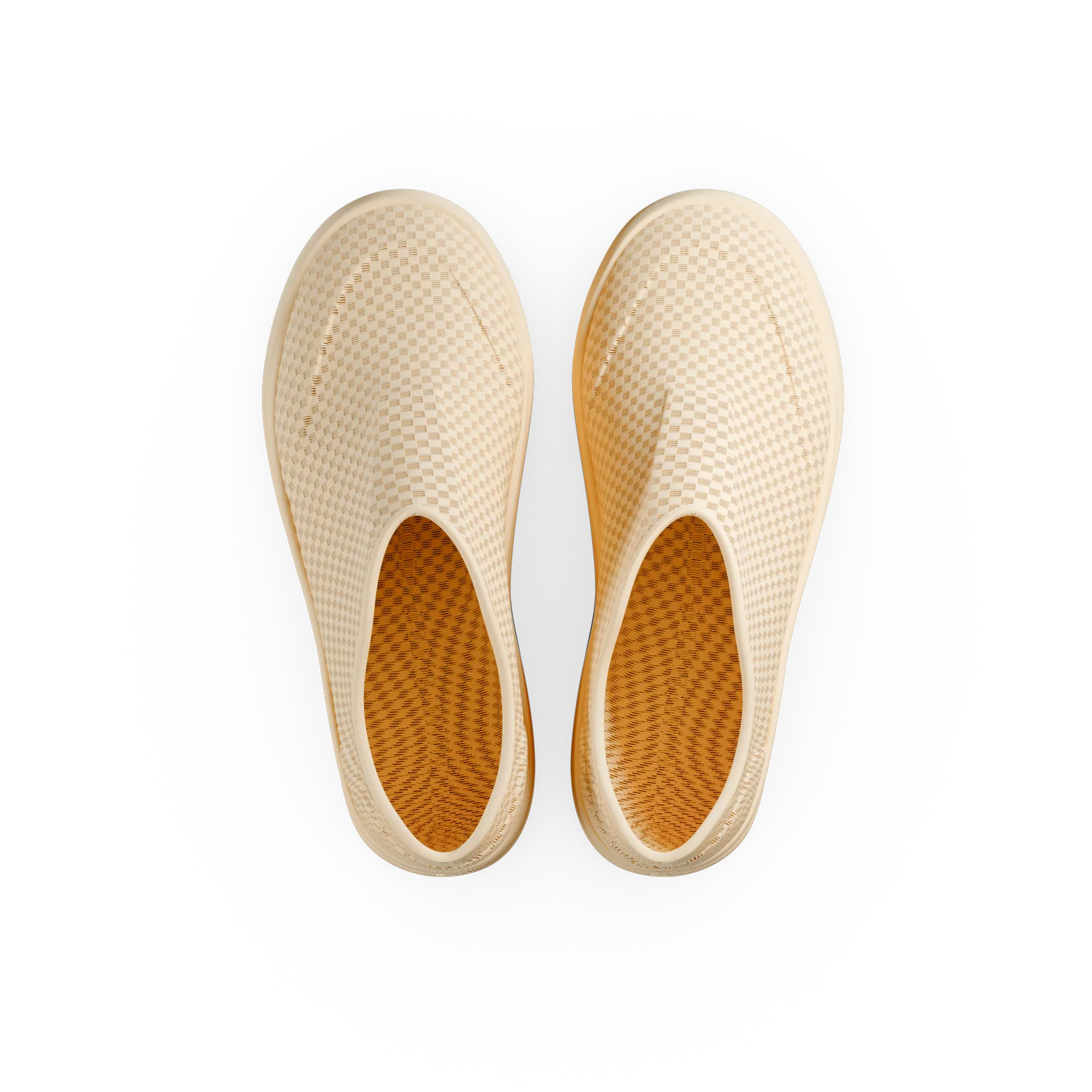 Paca - Image 39