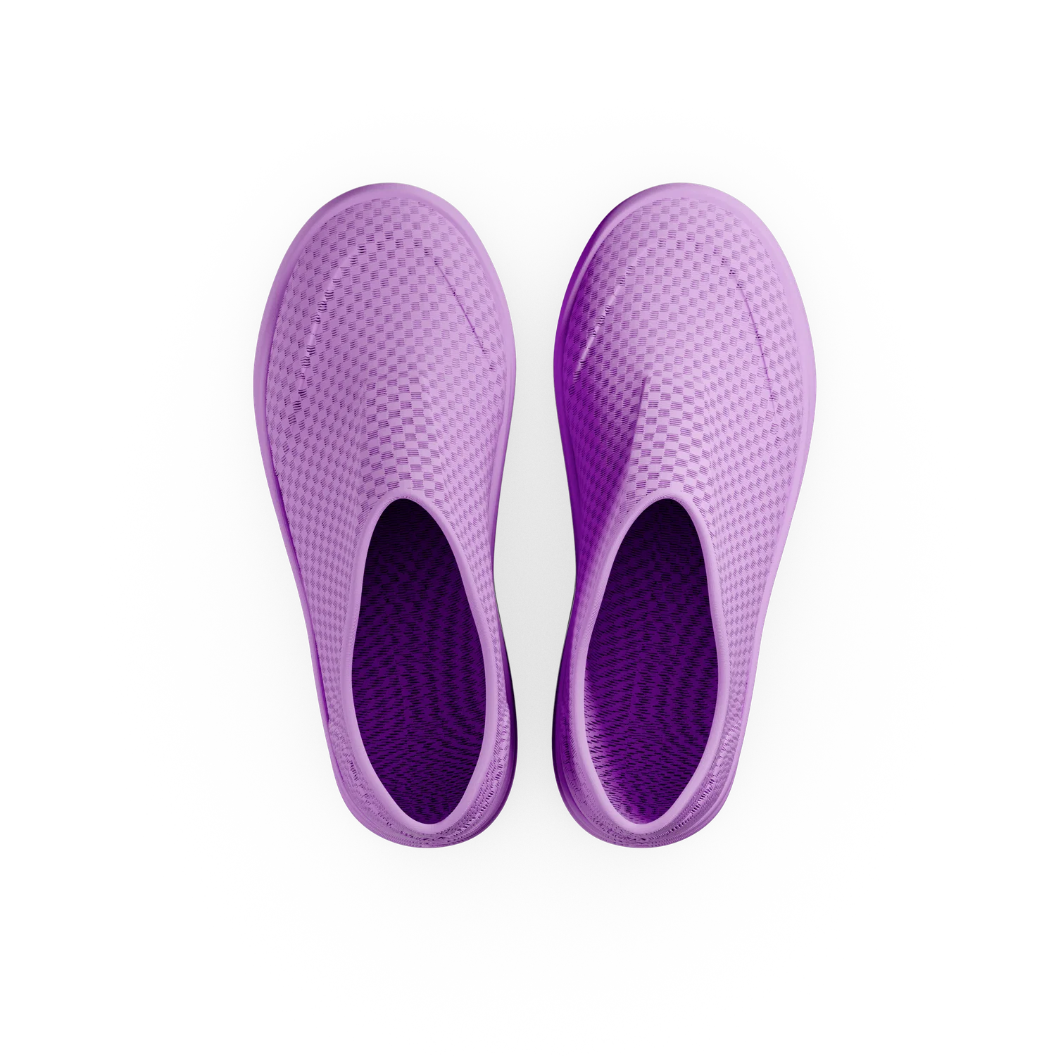 Paca - Image 9