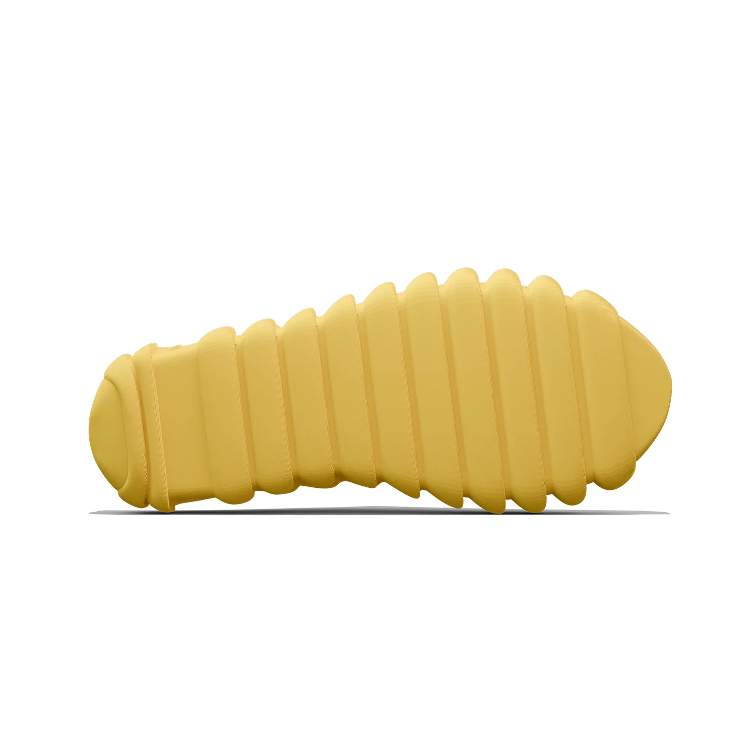 RIB - Image 10